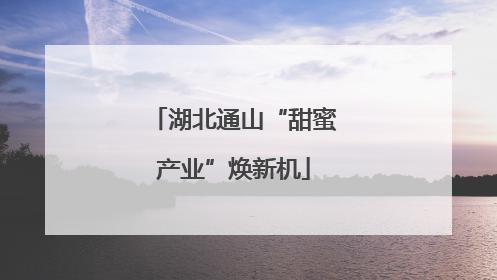 湖北通山“甜蜜产业”焕新机