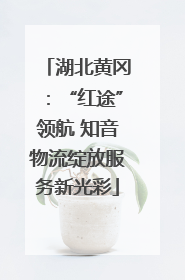 湖北黄冈：“红途”领航 知音物流绽放服务新光彩
