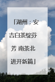 湖州：安吉白茶绽芬芳 南茶北进开新篇