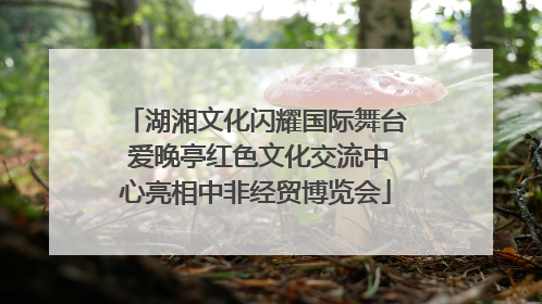 湖湘文化闪耀国际舞台 爱晚亭红色文化交流中心亮相中非经贸博览会