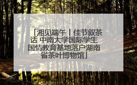湘见端午丨佳节叙茶话 中南大学国际学生国情教育基地落户湖南省茶叶博物馆