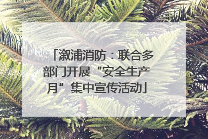 溆浦消防：联合多部门开展“安全生产月”集中宣传活动