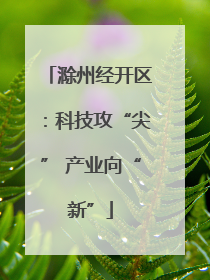 滁州经开区：科技攻“尖” 产业向“新”