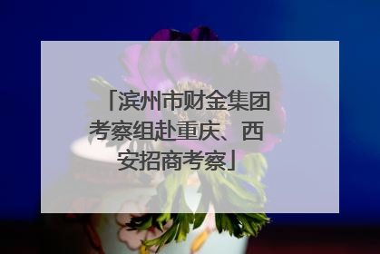 滨州市财金集团考察组赴重庆、西安招商考察