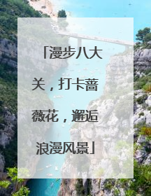 漫步八大关，打卡蔷薇花，邂逅浪漫风景