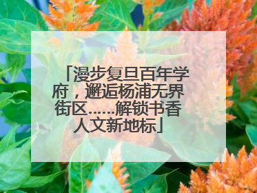 漫步复旦百年学府，邂逅杨浦无界街区……解锁书香人文新地标