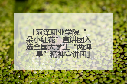 菏泽职业学院“一朵小红花”宣讲团入选全国大学生“两弹一星”精神宣讲团