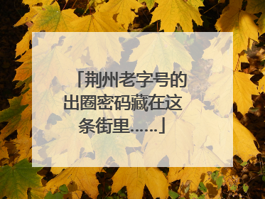 荆州老字号的出圈密码藏在这条街里……