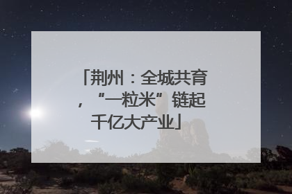 荆州：全城共育，“一粒米”链起千亿大产业