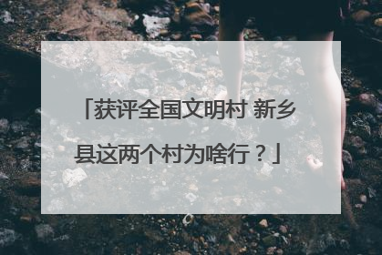 获评全国文明村 新乡县这两个村为啥行？