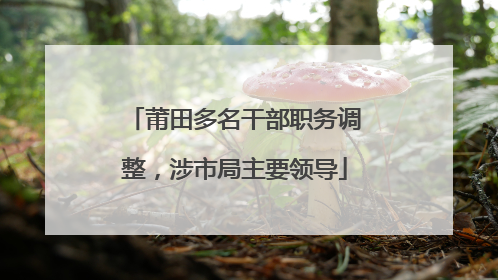 莆田多名干部职务调整，涉市局主要领导