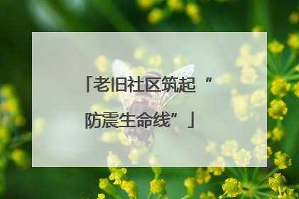 老旧社区筑起“防震生命线”