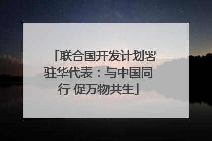 联合国开发计划署驻华代表：与中国同行 促万物共生
