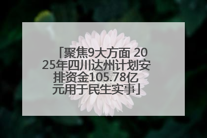 聚焦9大方面 2025年四川达州计划安排资金105.78亿元用于民生实事
