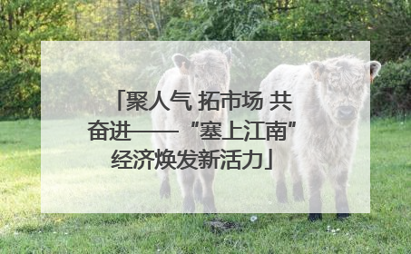聚人气 拓市场 共奋进——“塞上江南”经济焕发新活力