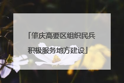 肇庆高要区组织民兵积极服务地方建设