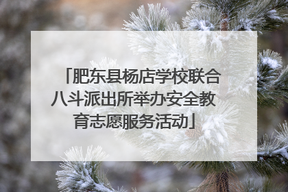 肥东县杨店学校联合八斗派出所举办安全教育志愿服务活动