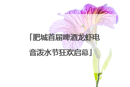 肥城首届啤酒龙虾电音泼水节狂欢启幕