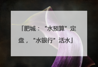 肥城：“水预算”定盘，“水银行”活水