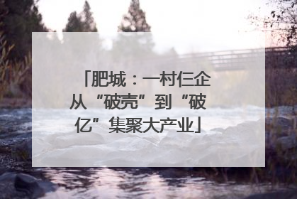 肥城：一村仨企从“破壳”到“破亿”集聚大产业