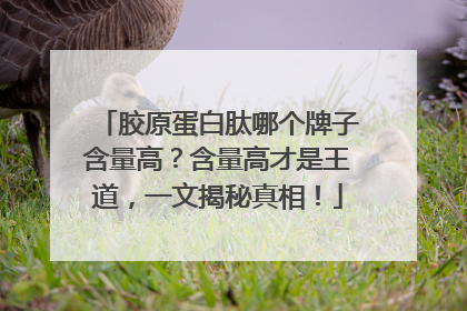 胶原蛋白肽哪个牌子含量高？含量高才是王道，一文揭秘真相！