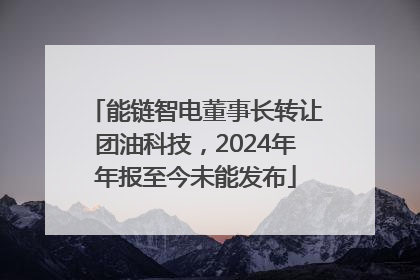 能链智电董事长转让团油科技，2024年年报至今未能发布
