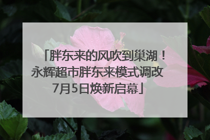 胖东来的风吹到巢湖！永辉超市胖东来模式调改7月5日焕新启幕