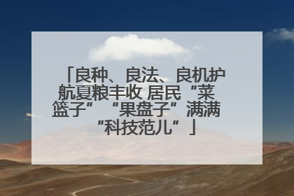 良种、良法、良机护航夏粮丰收 居民“菜篮子”“果盘子”满满“科技范儿”