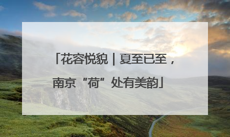 花容悦貌｜夏至已至，南京“荷”处有美韵