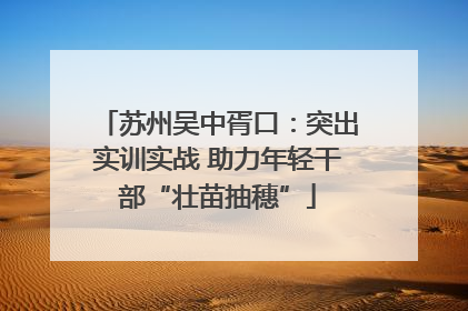 苏州吴中胥口：突出实训实战 助力年轻干部“壮苗抽穗”