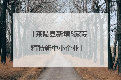 茶陵县新增5家专精特新中小企业