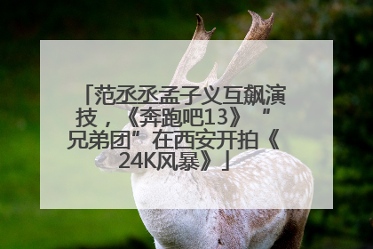 范丞丞孟子义互飙演技，《奔跑吧13》“兄弟团”在西安开拍《24K风暴》