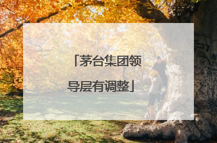 茅台集团领导层有调整