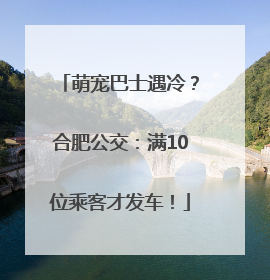 萌宠巴士遇冷？合肥公交：满10位乘客才发车！