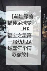 萌娃绿茵播种足球梦——LHK福宝之星第三届幼儿足球嘉年华精彩绽放