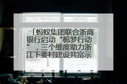 蚂蚁集团联合浙商银行启动“栀梦行动”，三个维度助力浙江下姜村建设共富示范区示范点