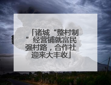 诸城“整村制”经营铺就富民强村路，合作社迎来大丰收