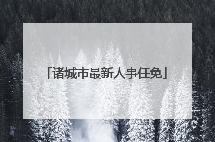 诸城市最新人事任免