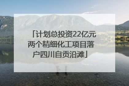 计划总投资22亿元 两个精细化工项目落户四川自贡沿滩