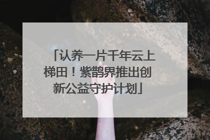 认养一片千年云上梯田！紫鹊界推出创新公益守护计划
