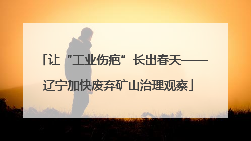 让“工业伤疤”长出春天——辽宁加快废弃矿山治理观察