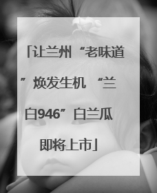 让兰州“老味道”焕发生机 “兰白946”白兰瓜即将上市