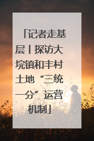 记者走基层丨探访大垸镇和丰村土地“三统一分”运营机制