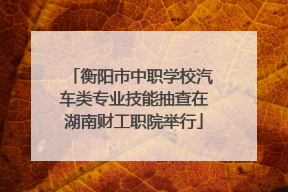 衡阳市中职学校汽车类专业技能抽查在湖南财工职院举行
