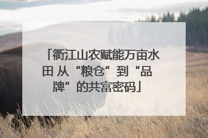 衢江山农赋能万亩水田 从“粮仓”到“品牌”的共富密码