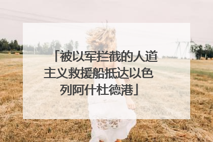 被以军拦截的人道主义救援船抵达以色列阿什杜德港
