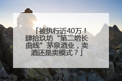 被执行近40万！肆拾玖坊“第二增长曲线”茅泉酒业，卖酒还是卖模式？