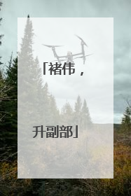 褚伟，升副部
