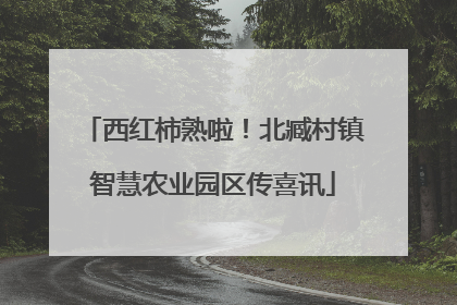 西红柿熟啦！北臧村镇智慧农业园区传喜讯