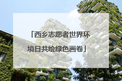 西乡志愿者世界环境日共绘绿色画卷